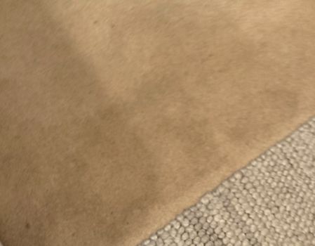 Dog wee stain carpet 